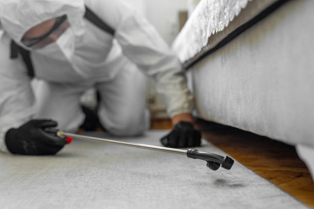 Professional Bed Bug Control technician working in Monticello, LA
