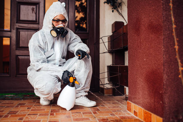 Reliable Bed Bug Control contractor in Monticello, LA by Nex Pest Control